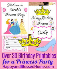 200w Princess Birthday Party HappyandBlessedHome