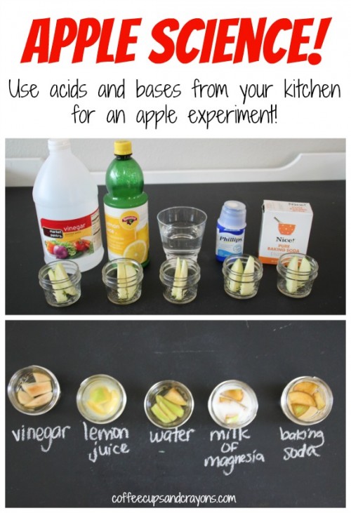Apple-Science-An-apple-experiment-using-acids-and-bases-from-your-kitchen.