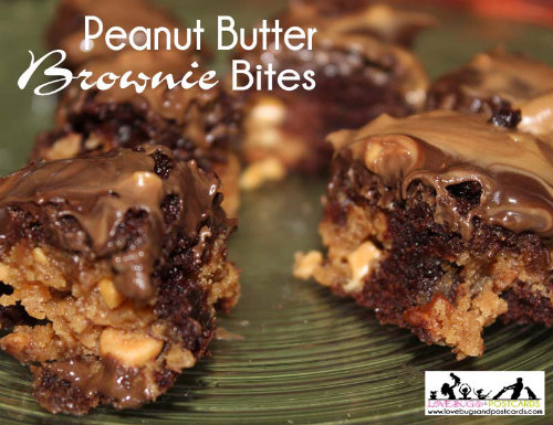 500 Peanut Butter Brownie Bites Recipe