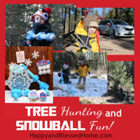 Tree Hunting and Christmas Tree Cutting and Snowball Family Fun HappyandBlessedHome.com