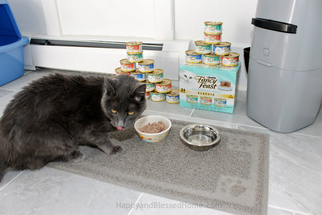 Love your cat- Try Litter Genie and Fancy Feast From HappyandBlessedHome.com
