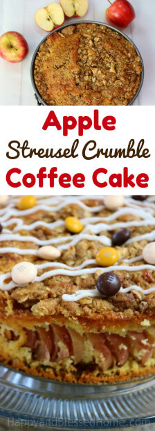 A baked dessert - Apple Streusel Crumble Coffee Cake
