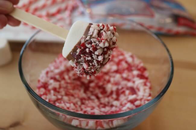 Add the crushed peppermint candy to make this easy recipe Chocolate Dipped Marshmallow Candy Canes