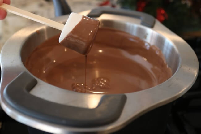 Dip your marshmallow to make this easy recipe Chocolate Dipped Marshmallow Candy Canes