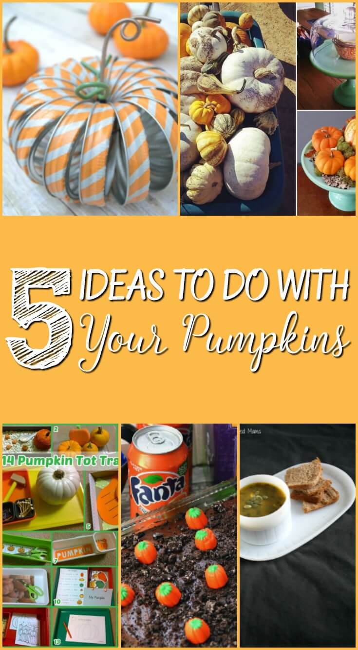 5-ideas-to-do-with-your-pumpkins-pin