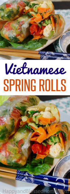 Vietnamese Spring Rolls with Chicken and Vegetables