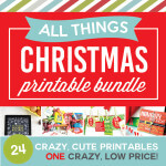 750 NEW All Things Christmas Bundle