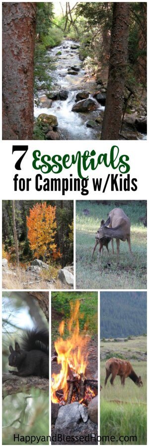 7 Essentials for Camping with Kids