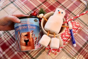 Stephen's Hot Cocoa and 5 Build a Snowman Activities Printable Pack and Two Brothers who Loce Hot Cocoa- Photo Copyright 2017 HappyandBlessedHome.com