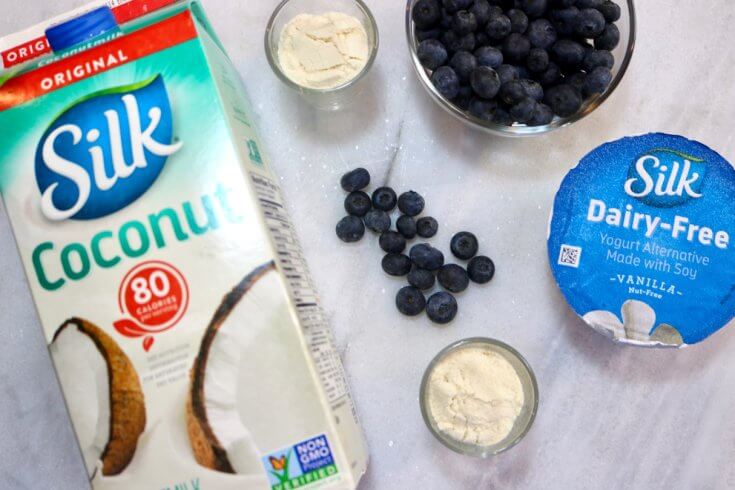 Blueberry and Non-Dairy Yogurt Smoothie Recipe