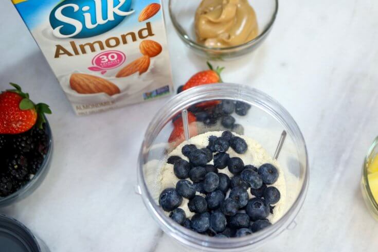 Ingredients for a Blueberry and Non-Dairy Yogurt Smoothie Recipe