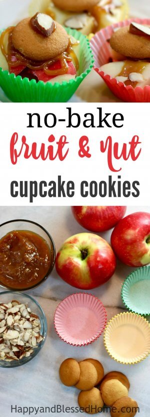 No-Bake Fruit and Nut Cupcake Cookies