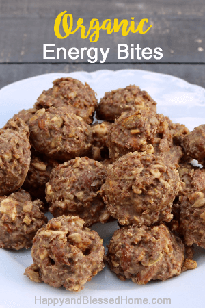 Easy Recipe for no bake Keto-friendly Organic Energy Bites